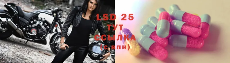 LSD-25 экстази ecstasy  Курганинск 